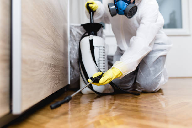 Best Wasp Removal Services  in Makakilo, HI