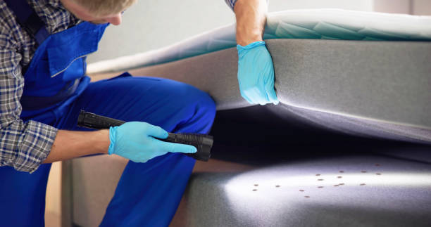 Best Pest Inspection Near Me  in Makakilo, HI