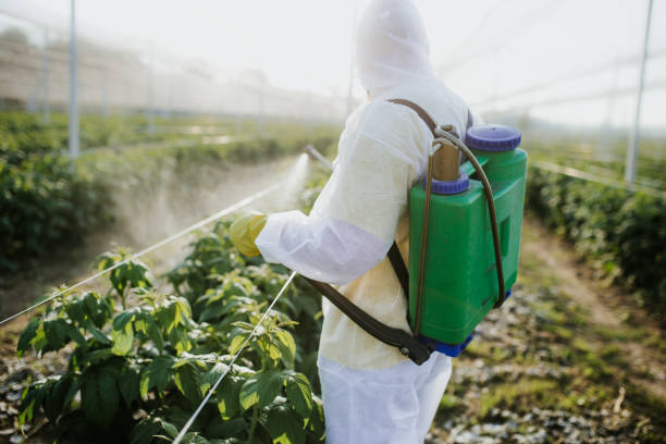 Best Pest Inspection Near Me  in Makakilo, HI
